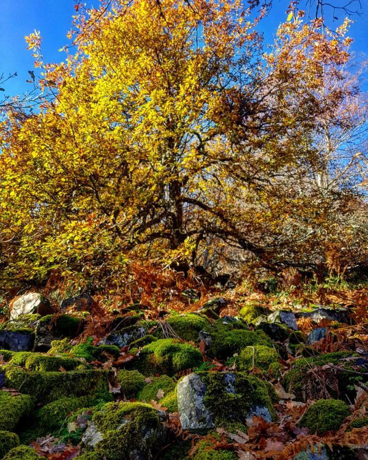 Casa Turismo Rural O Filandon Suertes エクステリア 写真